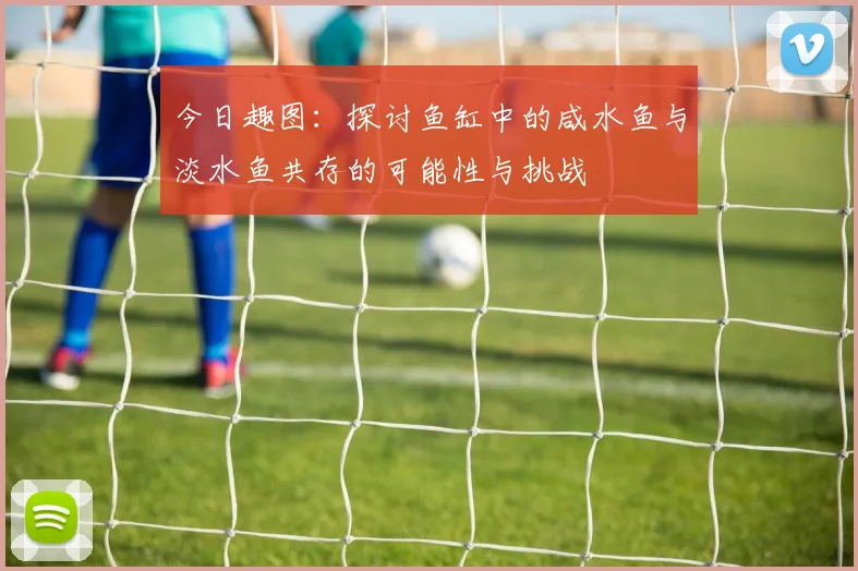 今日趣图：探讨鱼缸中的咸水鱼与淡水鱼共存的可能性与挑战