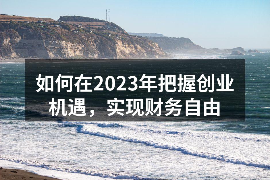 如何在2023年把握创业机遇，实现财务自由