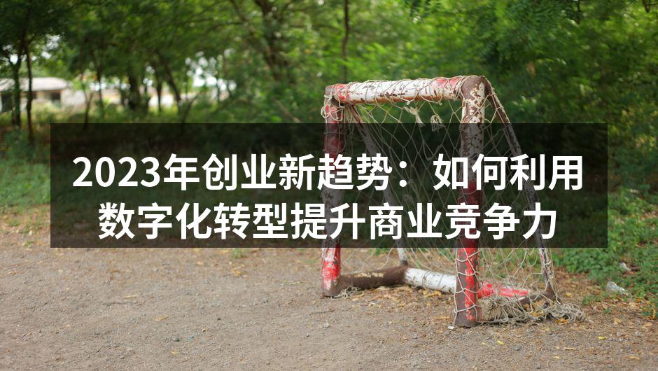 2023年创业新趋势：如何利用数字化转型提升商业竞争力